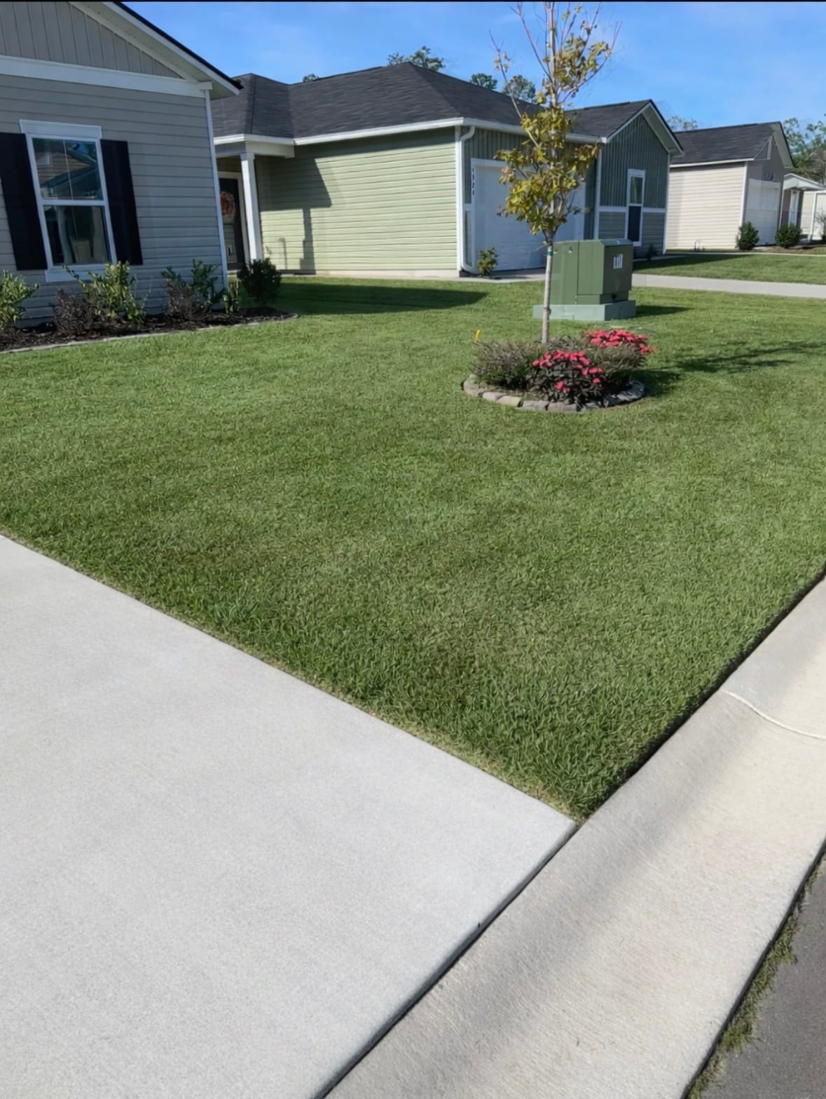 Clean front lawn with sharp edges after professional mowing