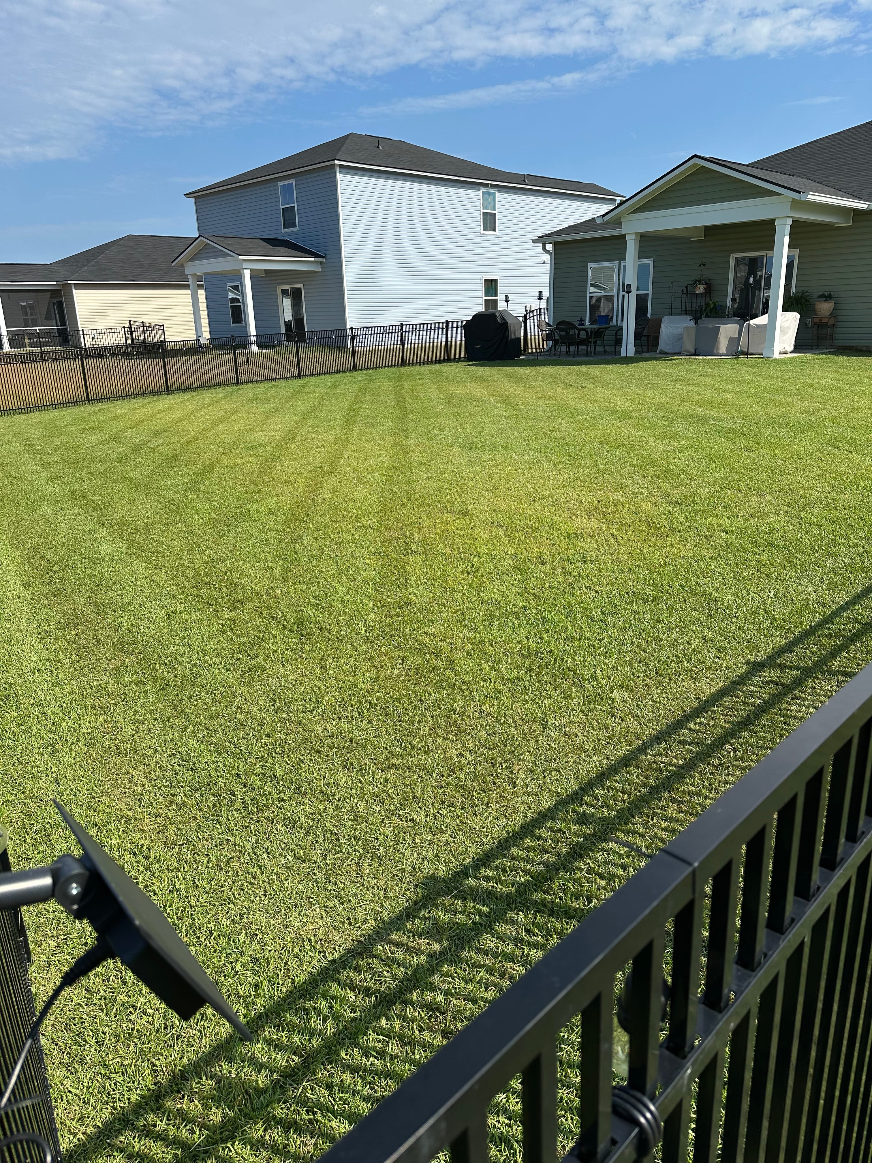 Uniform green residential lawn with clean mowing lines