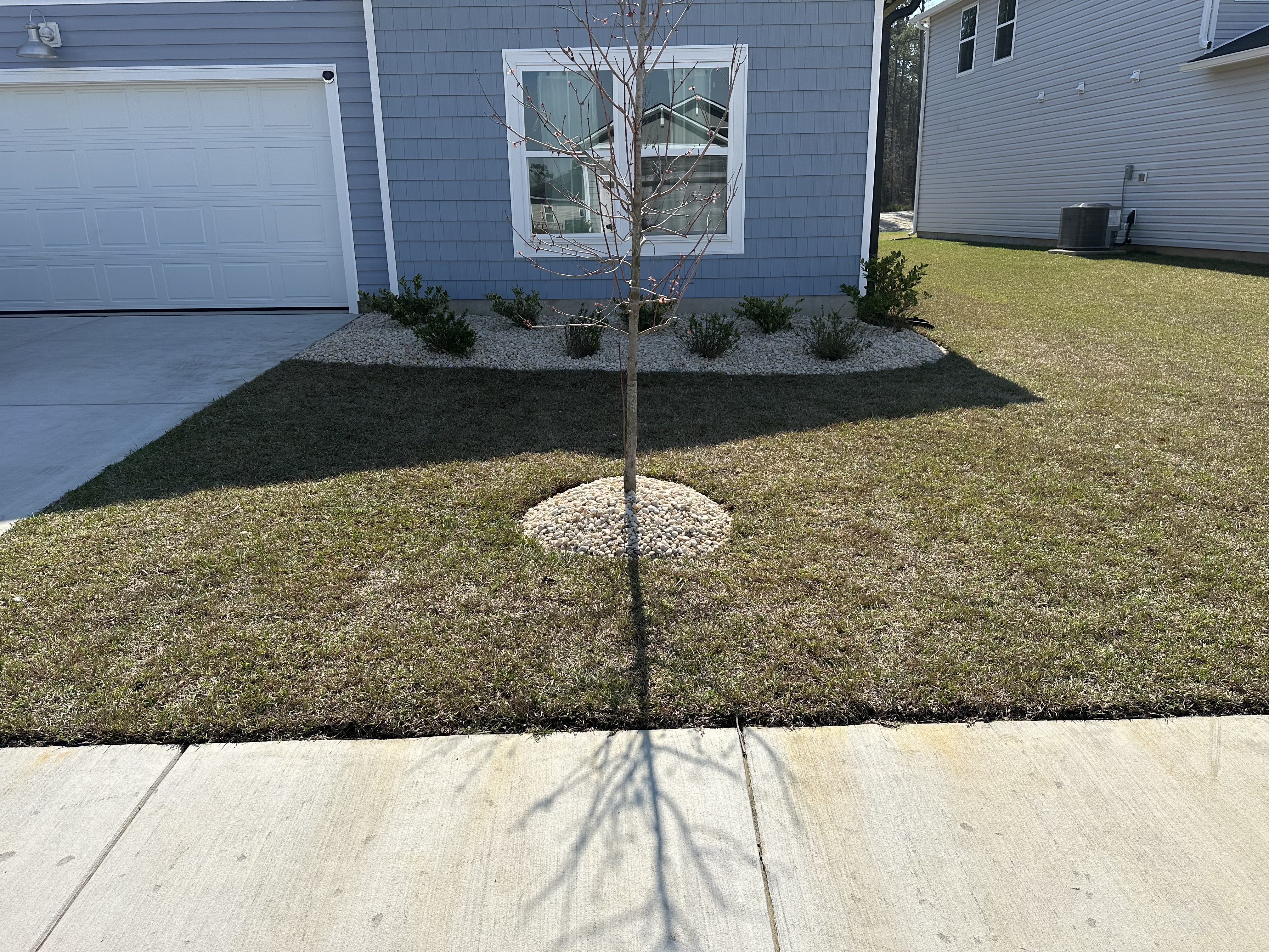 Carolina Coast Lawn Care project 4